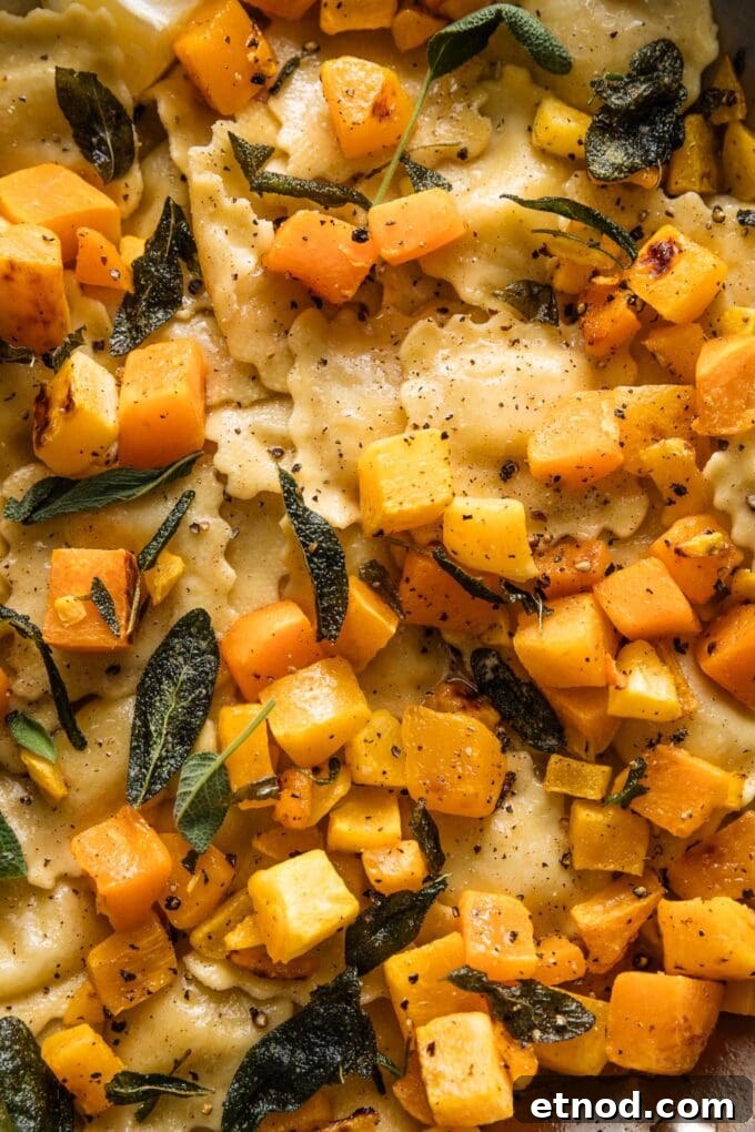 Brown Butter Ravioli with Roasted Butternut Squash Filling 10 Close up view of cheese ravioli with brown butter sauce, sage, lemon juice, and cubed butternut squash.