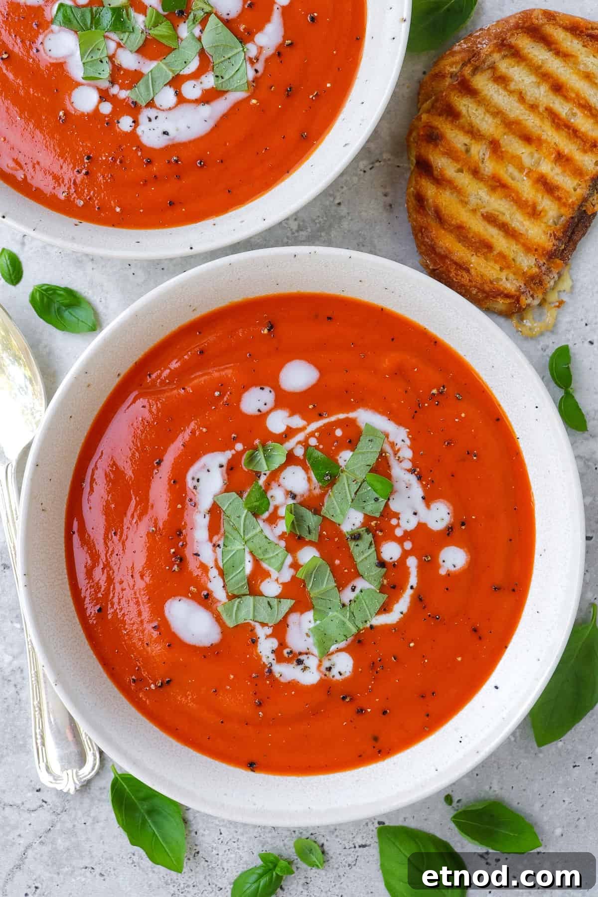Creamy Dairy-Free Tomato Soup Recipe — Vegan Comfort Bowl 2 Dairy free tomato soup in bowls with shredded basil leaves and coconut cream drizzled on top.