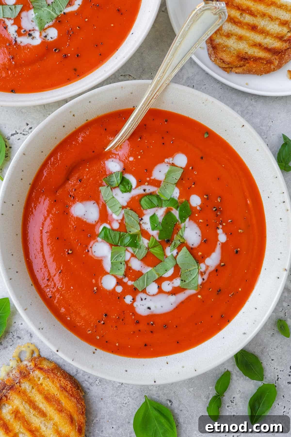 Creamy Dairy-Free Tomato Soup Recipe — Vegan Comfort Bowl 7 Dairy free tomato soup in a bowl with shredded basil leaves and coconut cream drizzled on top.