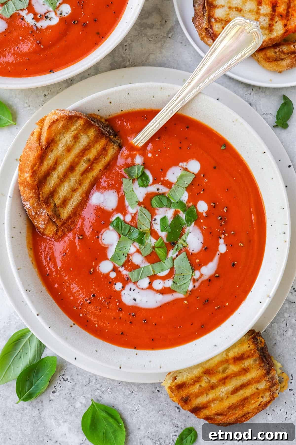 Creamy Dairy-Free Tomato Soup Recipe — Vegan Comfort Bowl 8 Tomato soup in a bowl with grilled cheese toast dunked in.