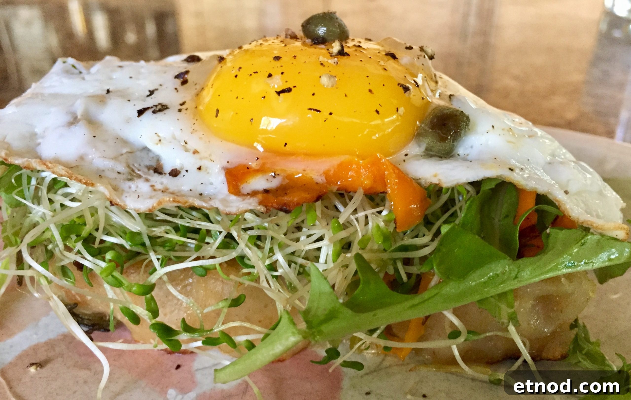 Thin slice focaccia with sprouts, arugula and egg Thin slice focaccia with sprouts, arugula and egg
