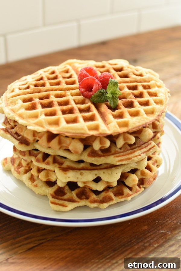 Crisp Buttermilk Waffles Recipe for Fluffy Breakfast 4 crispy buttermilk waffles | NoBiggie.net