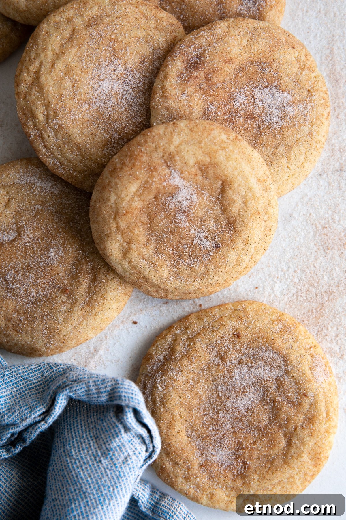 Classic Snickerdoodle Cookie Recipe: Soft Cinnamon Sugar Cookies 3 Baked snickerdoodle cookies sprinkled with extra sugar and cinnamon.