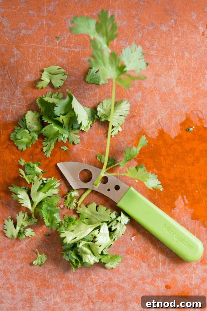 separating cilantro stems and leaves