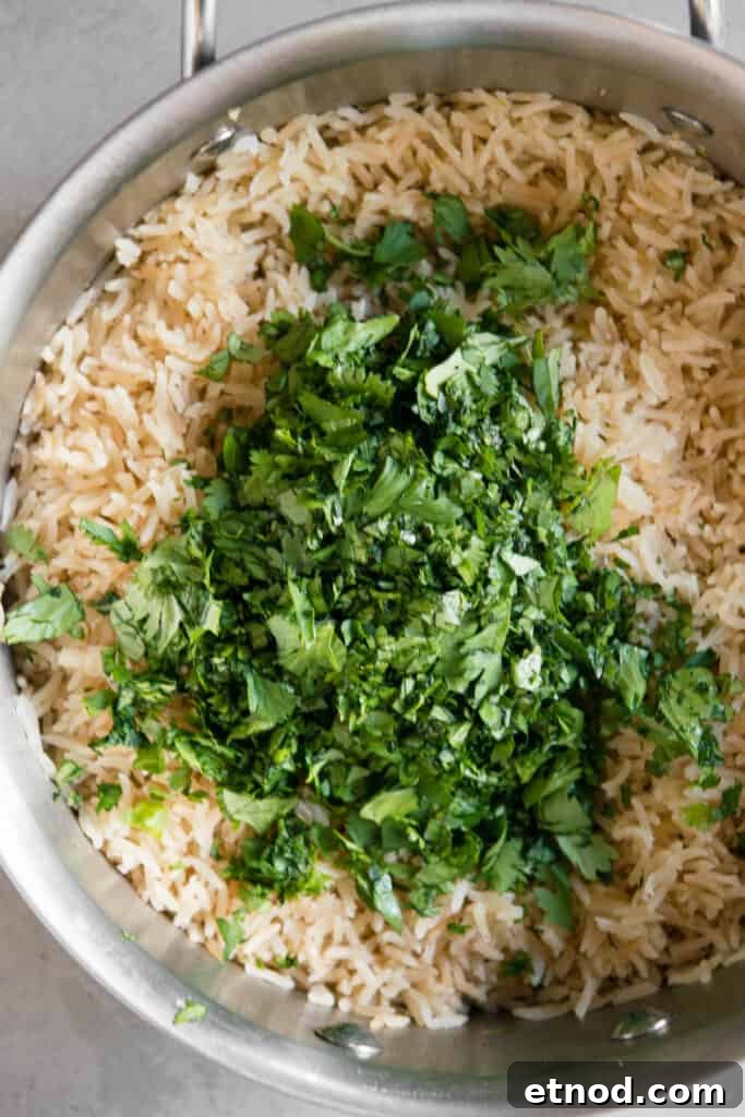 chopped fresh cilantro added to rice