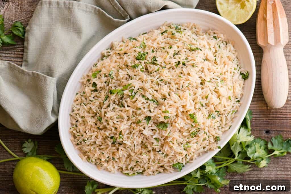dish with cilantro and lime flavored rice