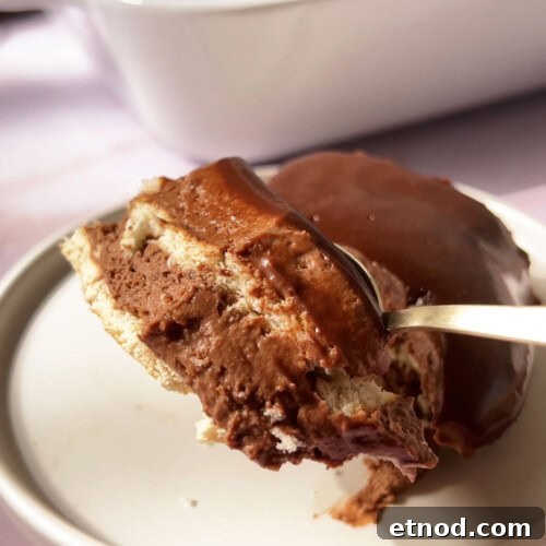 chocolate biscuit pudding on a spoon.