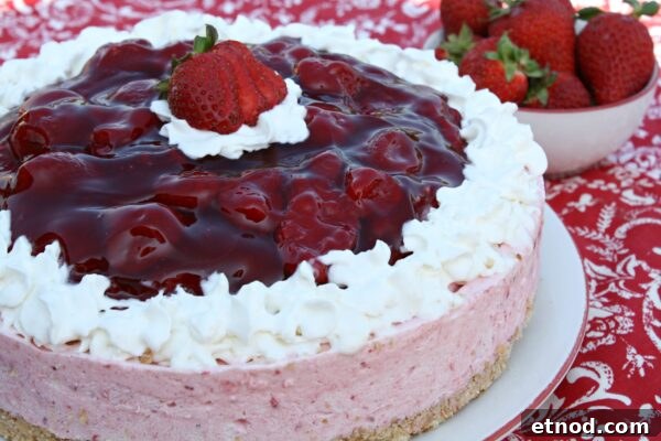 9 Refreshing No-Bake Summer Desserts You Can Make Today 2 img 6003 1