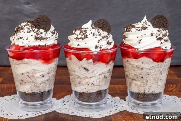 9 Refreshing No-Bake Summer Desserts You Can Make Today 11 img 6003 10