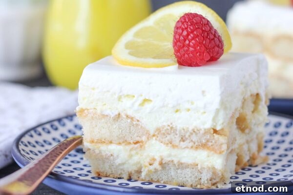 9 Refreshing No-Bake Summer Desserts You Can Make Today 3 img 6003 2