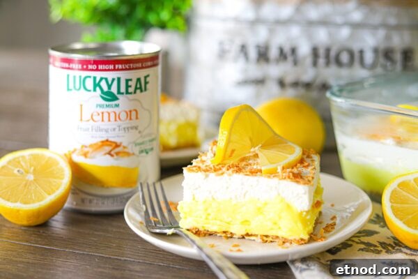 9 Refreshing No-Bake Summer Desserts You Can Make Today 5 img 6003 4