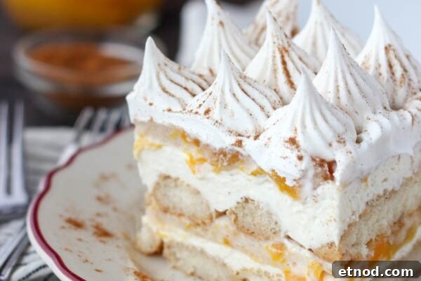 9 Refreshing No-Bake Summer Desserts You Can Make Today 6 img 6003 5