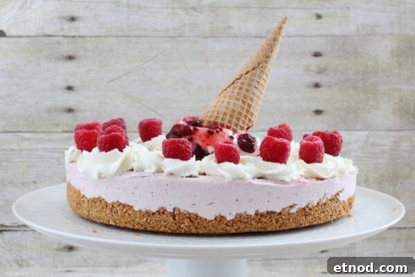 9 Refreshing No-Bake Summer Desserts You Can Make Today 8 img 6003 7