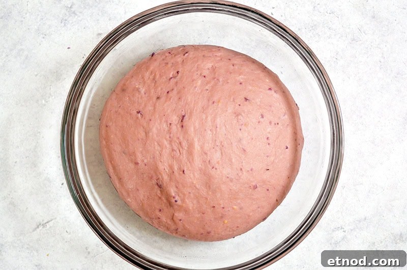 Purple Sweet Potato Donuts: Fluffy Ube-Inspired Homemade Recipe 3 purple sweet potato dough