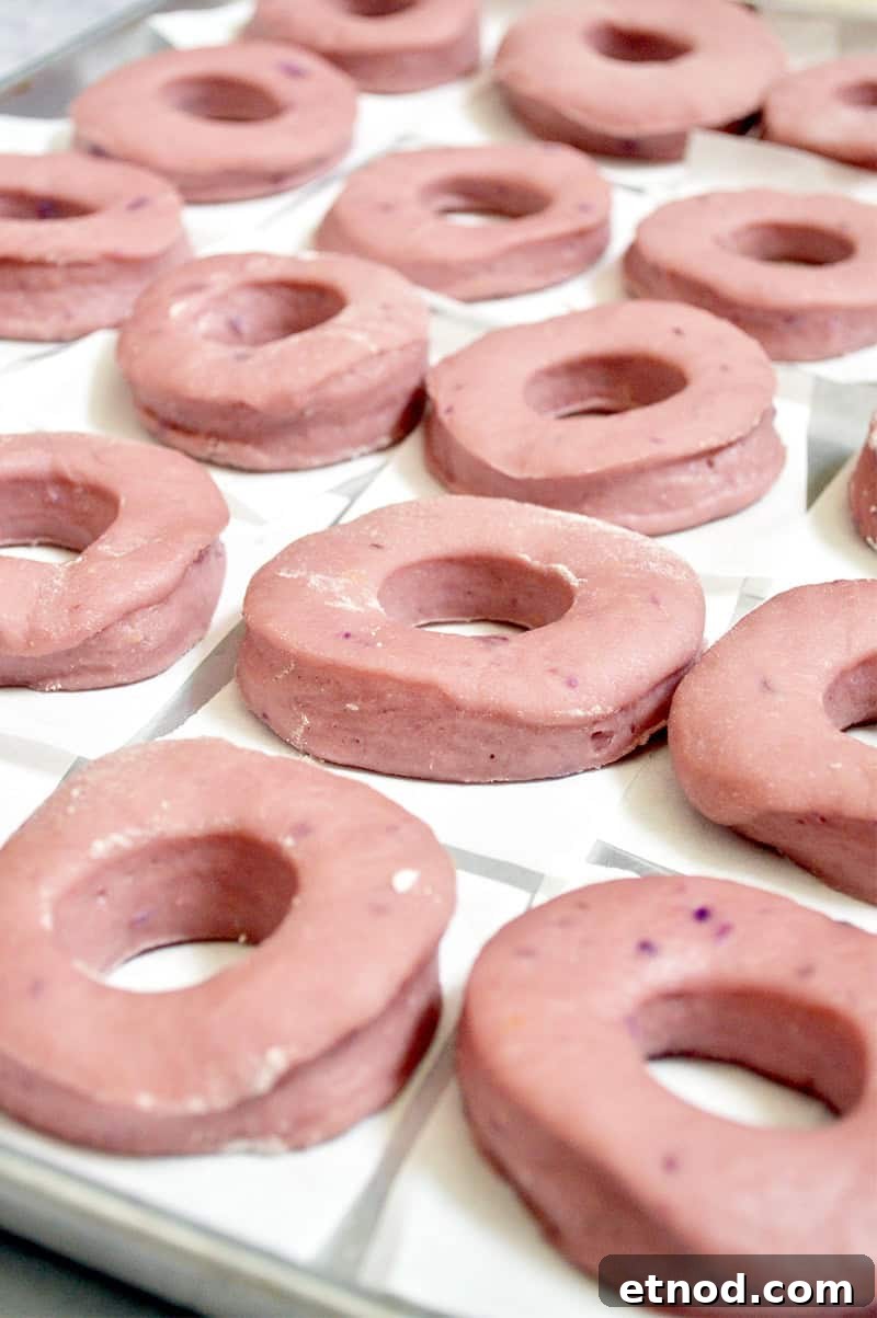 Purple Sweet Potato Donuts: Fluffy Ube-Inspired Homemade Recipe 6 purple sweet potato doughnuts