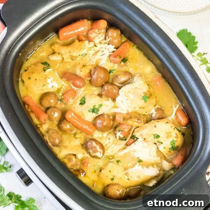 10 Simple Dishes You Can Make with a Can of Soup 13 Ranch chicken in the slow cooker waiting to be served.