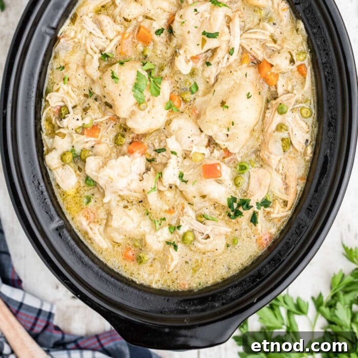 10 Simple Dishes You Can Make with a Can of Soup 16 Closeup of a slow cooker filled with chicken and dumplings for feature image.