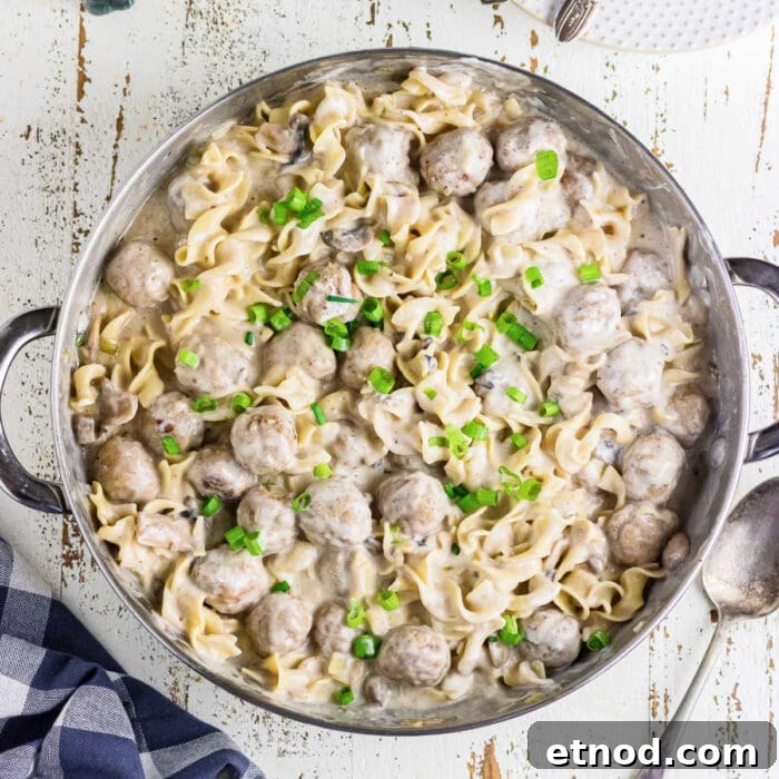 10 Simple Dishes You Can Make with a Can of Soup 17 Overhead view of meatball stroganoff in a pan. This is the feature image.