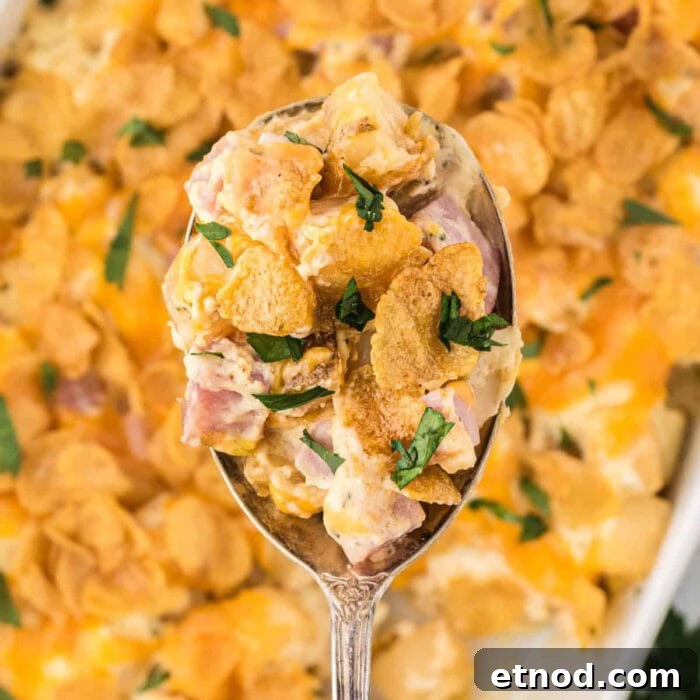 10 Simple Dishes You Can Make with a Can of Soup 19 Eggless breakfast hashbrown casserole being served.
