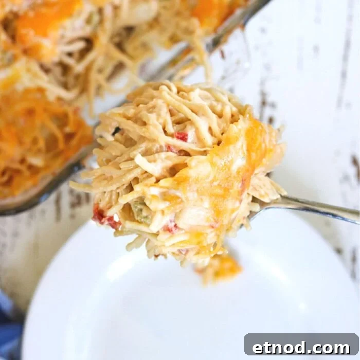 10 Simple Dishes You Can Make with a Can of Soup 8 Serving of chicken spaghetti being placed on a plate.