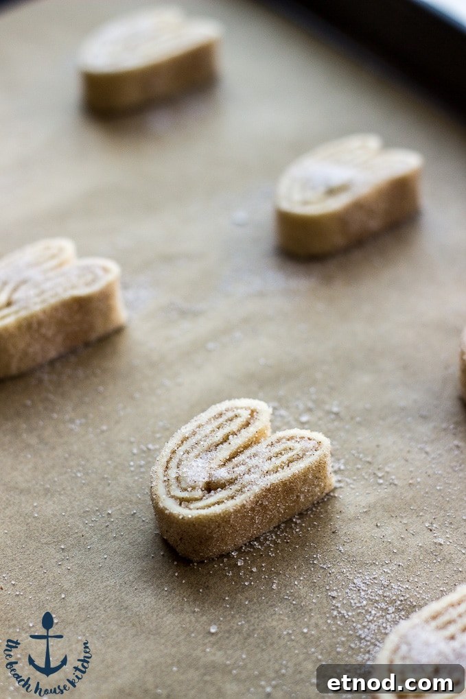 Cinnamon Palmiers