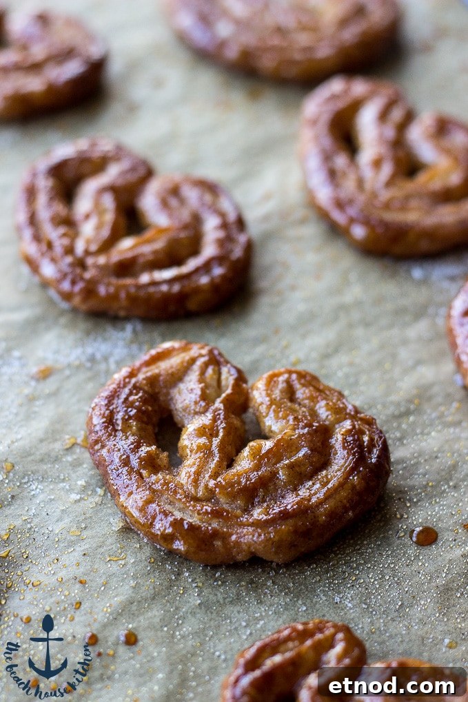 Cinnamon Palmiers
