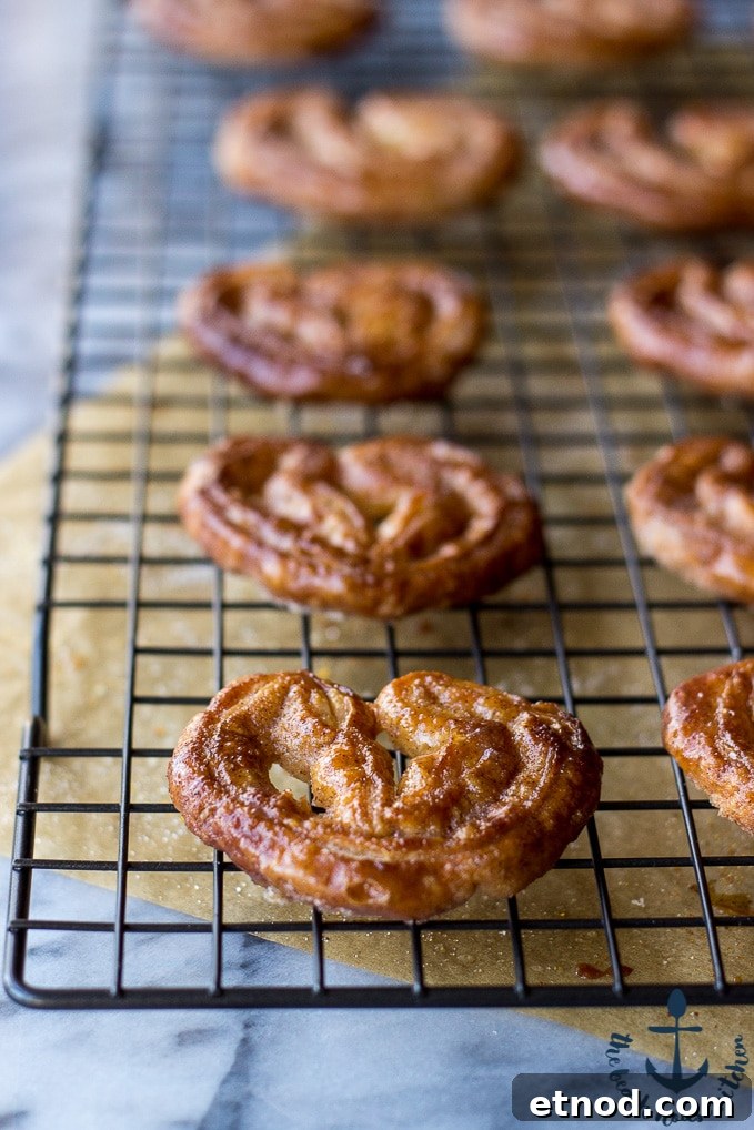 Cinnamon Palmiers