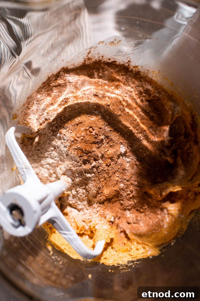 Kitchen-Sink Pumpkin Cookies That Melt in Your Mouth 8 cookie scoops chilled
