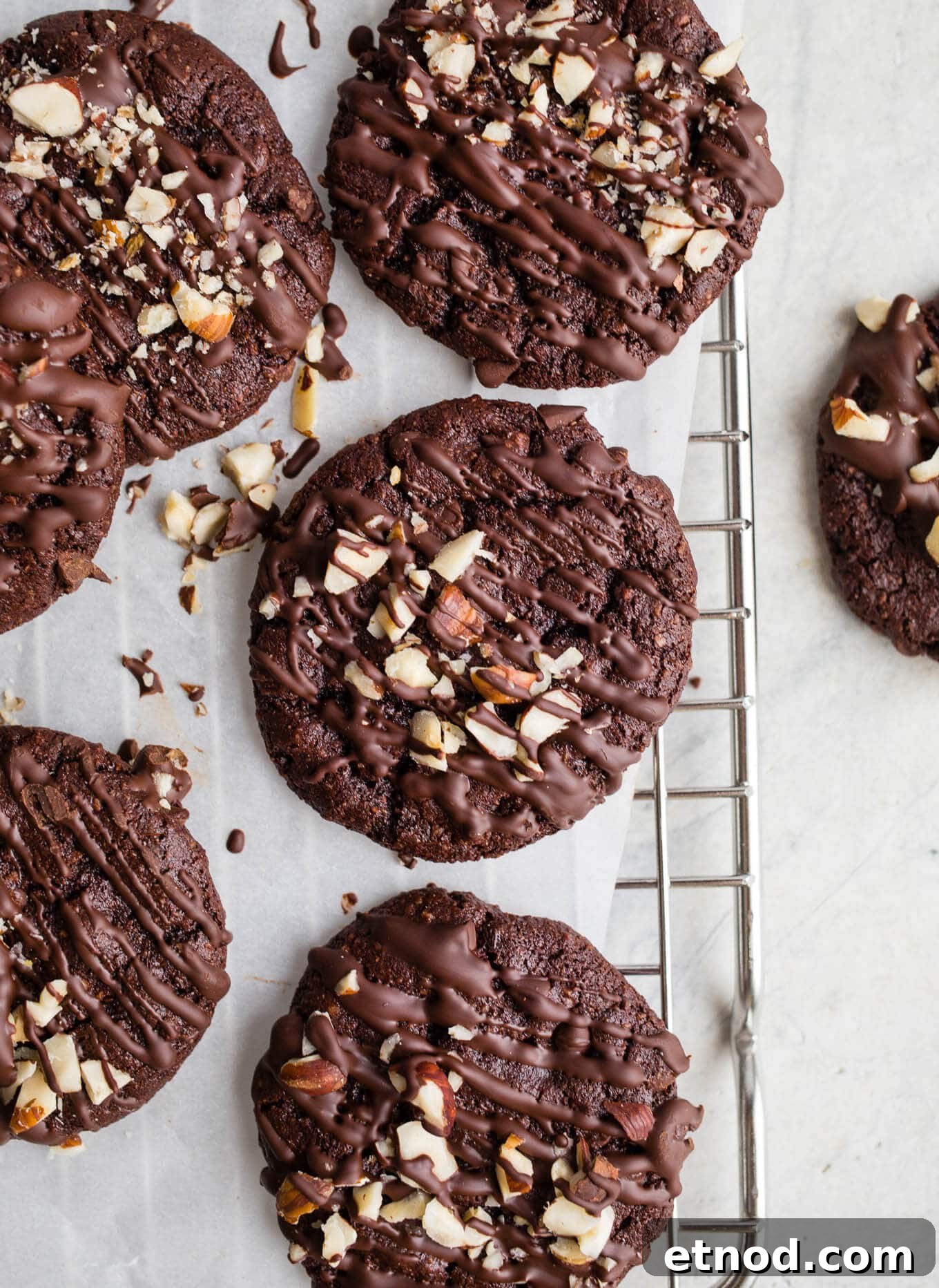 Double Chocolate Chip Hazelnut Cookies made with hazelnut meal, hazelnut butter, cocoa powder, and organic dark chocolate chips for a truly decadent cookie. Gluten-free, grain-free, vegan.