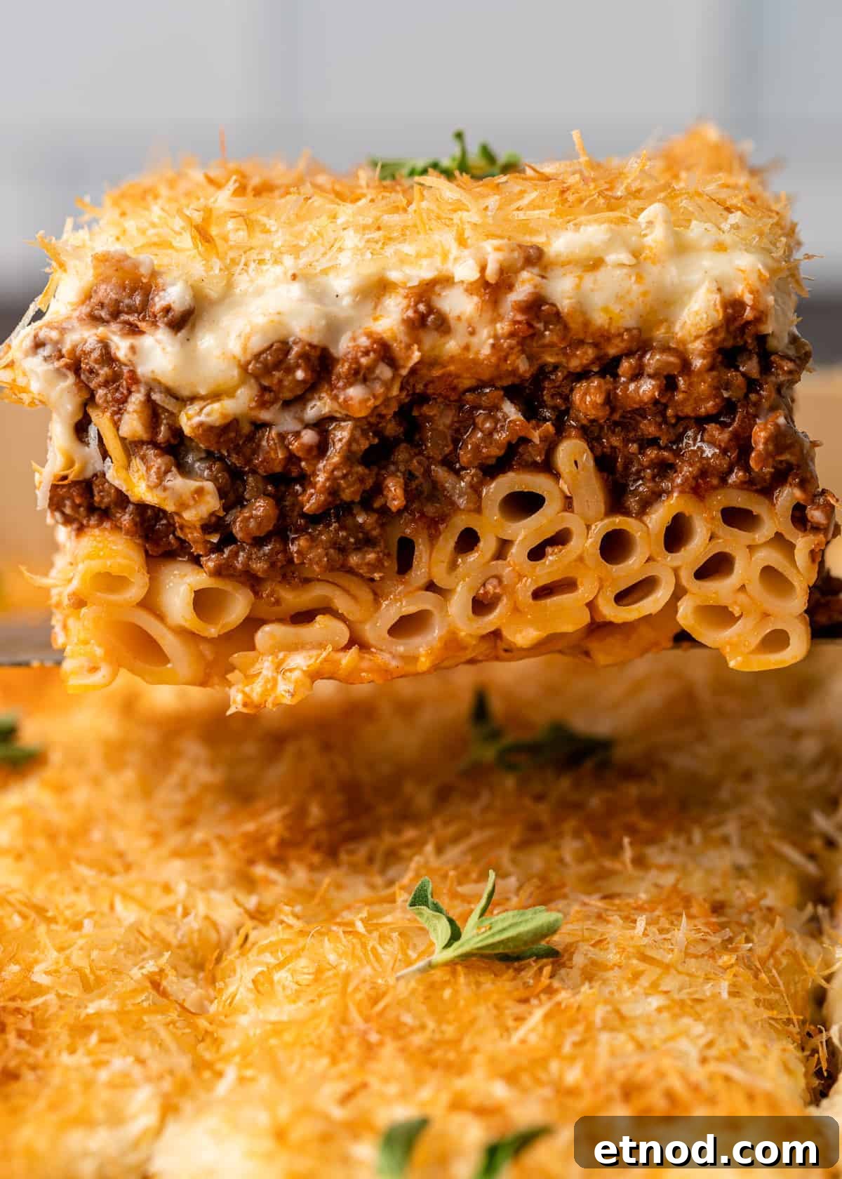 Authentic Greek Pastitsio Recipe: Classic Baked Pasta with Bechamel 15 closeup: serving of pasticcio baked pasta