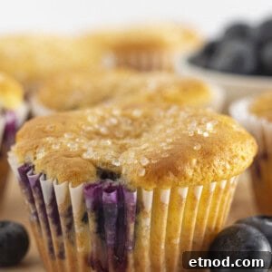 Quick Blueberry Muffins from Cake Mix — Moist & Tender Recipe 7 Blueberry cake mix muffins on a tray and ready to serve.