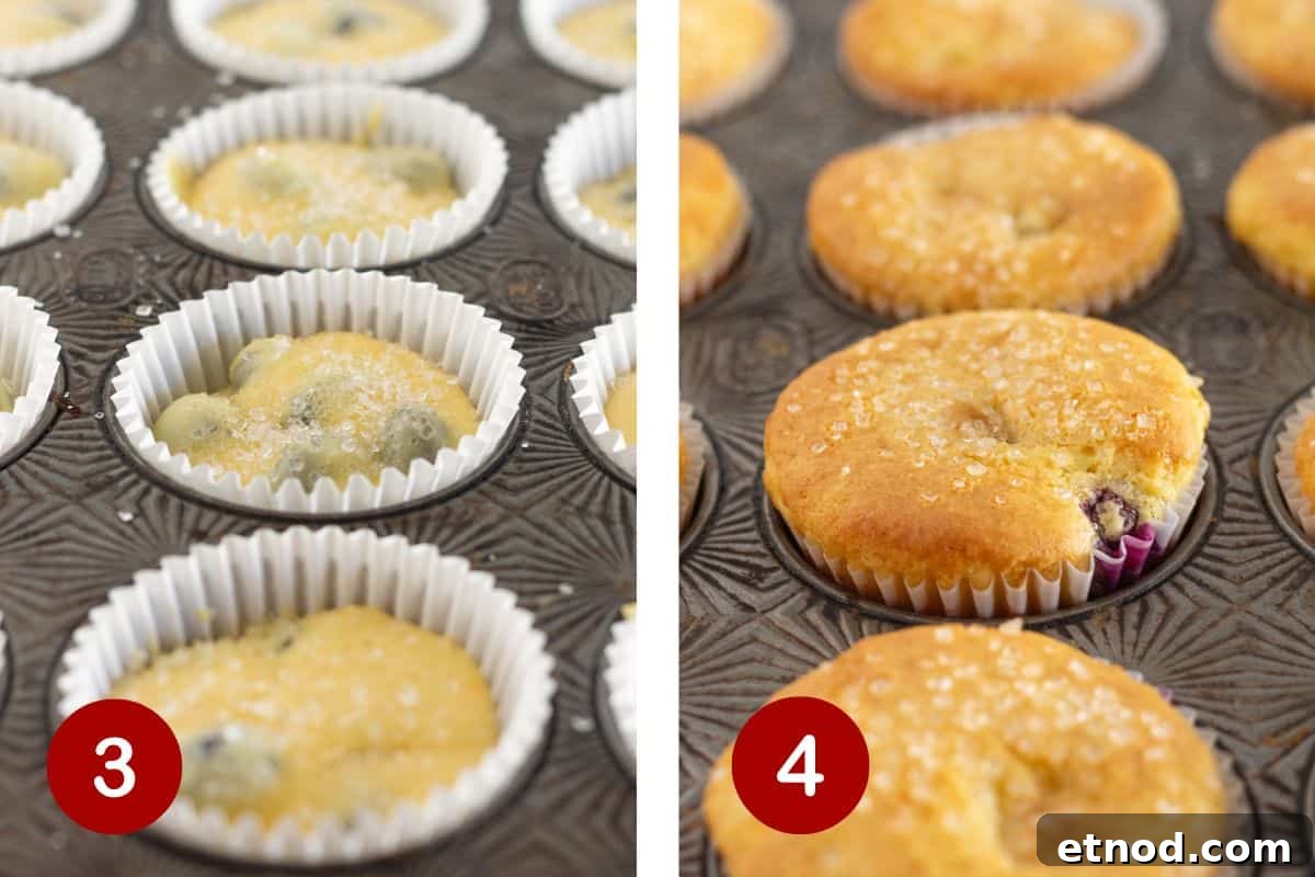 Quick Blueberry Muffins from Cake Mix — Moist & Tender Recipe 5 Topping the muffins with sanding sugar and baking the muffins.