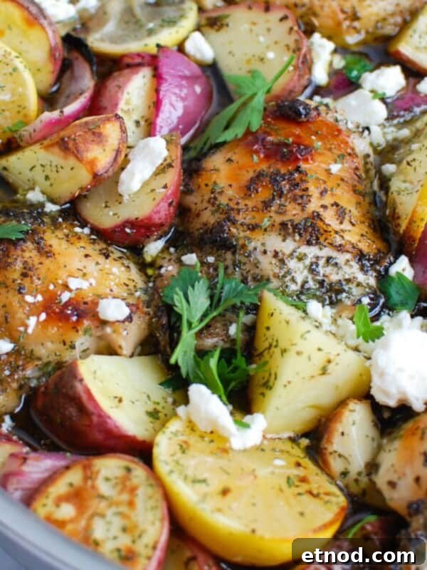 Turmeric Chicken Recipe: Flavorful Roast with Golden Spice 11 img 71821 10