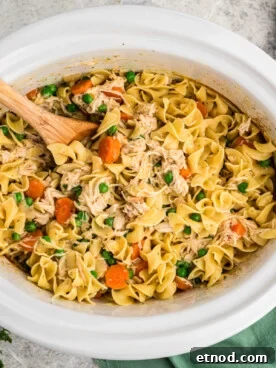 Creamy Slow Cooker Chicken and Noodles Recipe 10 noodles and chicken with peas and carrots in a slow cooker.