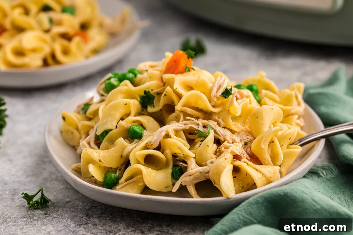 Creamy Slow Cooker Chicken and Noodles Recipe 9 chicken and egg noodles with vegetables on a table.