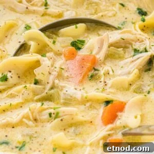 Creamy Homemade Chicken Noodle Soup Recipe for Comforting Dinner 11 close-up of a spoonful of creamy chicken noodle soup.