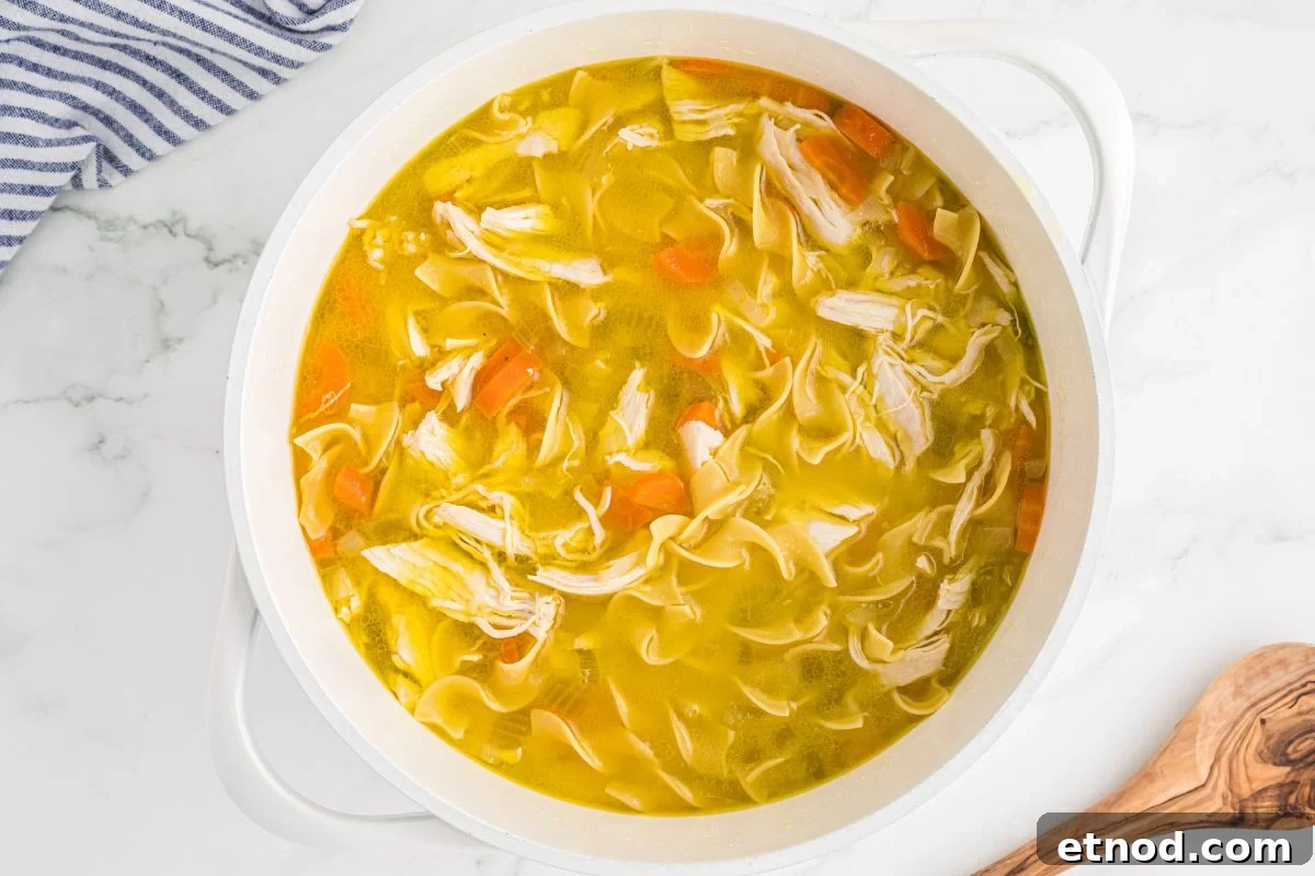 Creamy Homemade Chicken Noodle Soup Recipe for Comforting Dinner 8 noodles and chicken added to soup in Dutch oven.