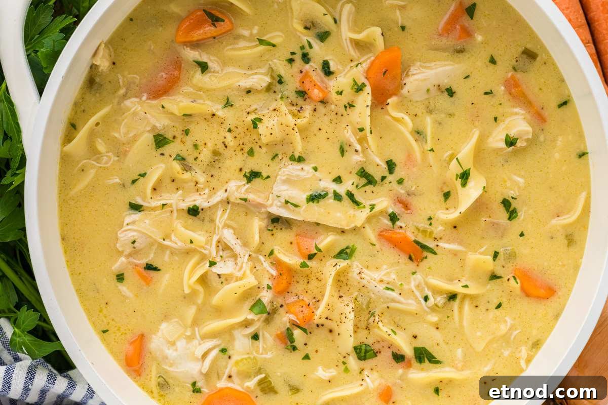 Creamy Homemade Chicken Noodle Soup Recipe for Comforting Dinner 10 bowl of chicken noodle soup garnished with parsley.