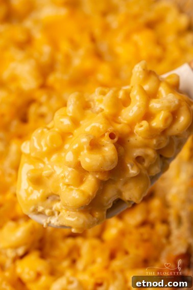 This baked mac and cheese is a family favorite recipe, loved by both children and adults. Perfect for a comforting dinner or as a holiday side dish!