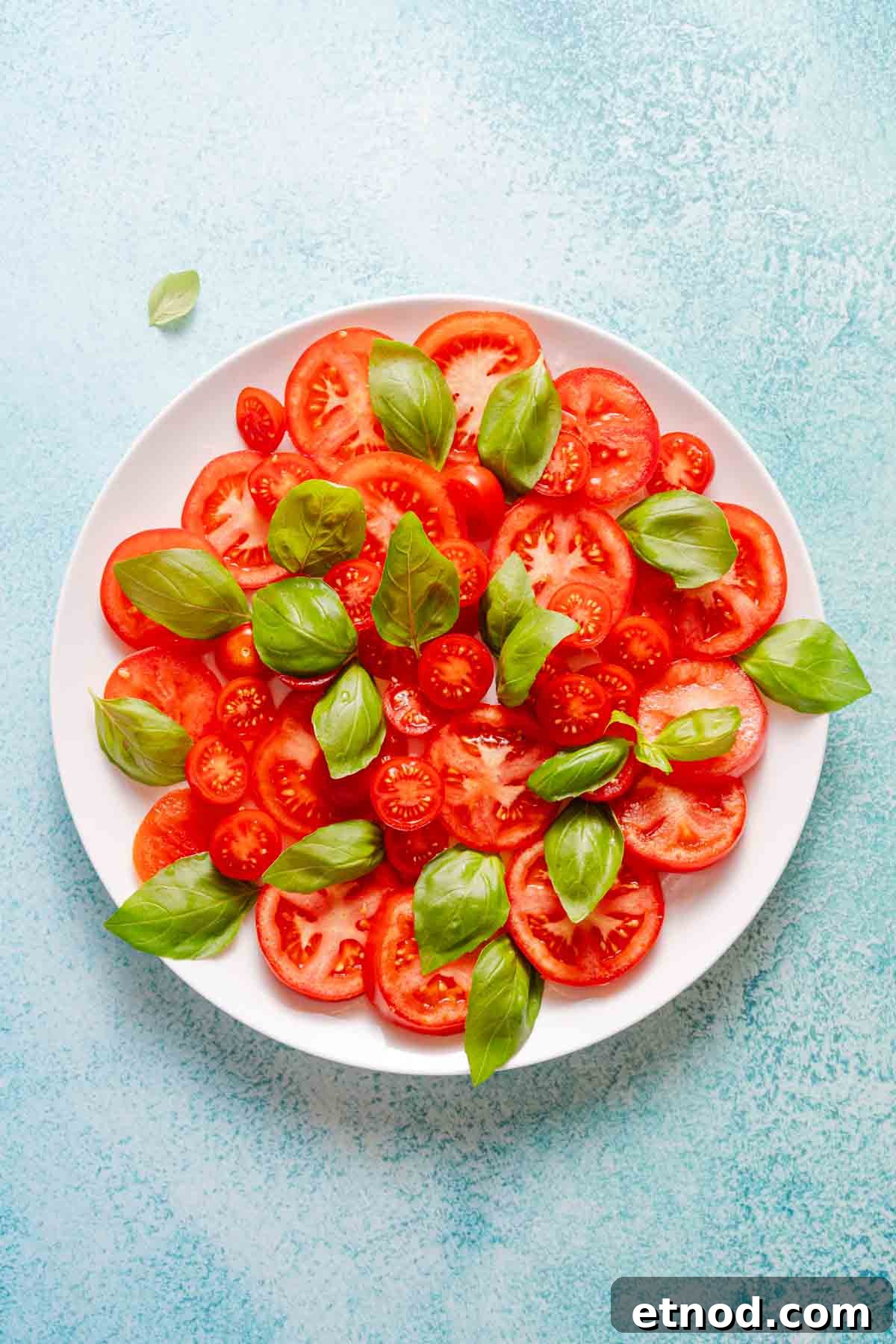 Creamy Burrata Caprese Salad with Heirloom Tomatoes 6 basil and tomato slices on white platter.