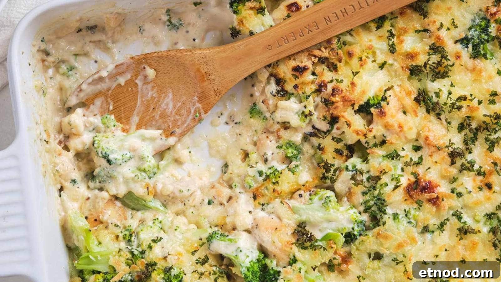 A wooden spoon scooping chicken broccoli alfredo casserole out of a serving dish.