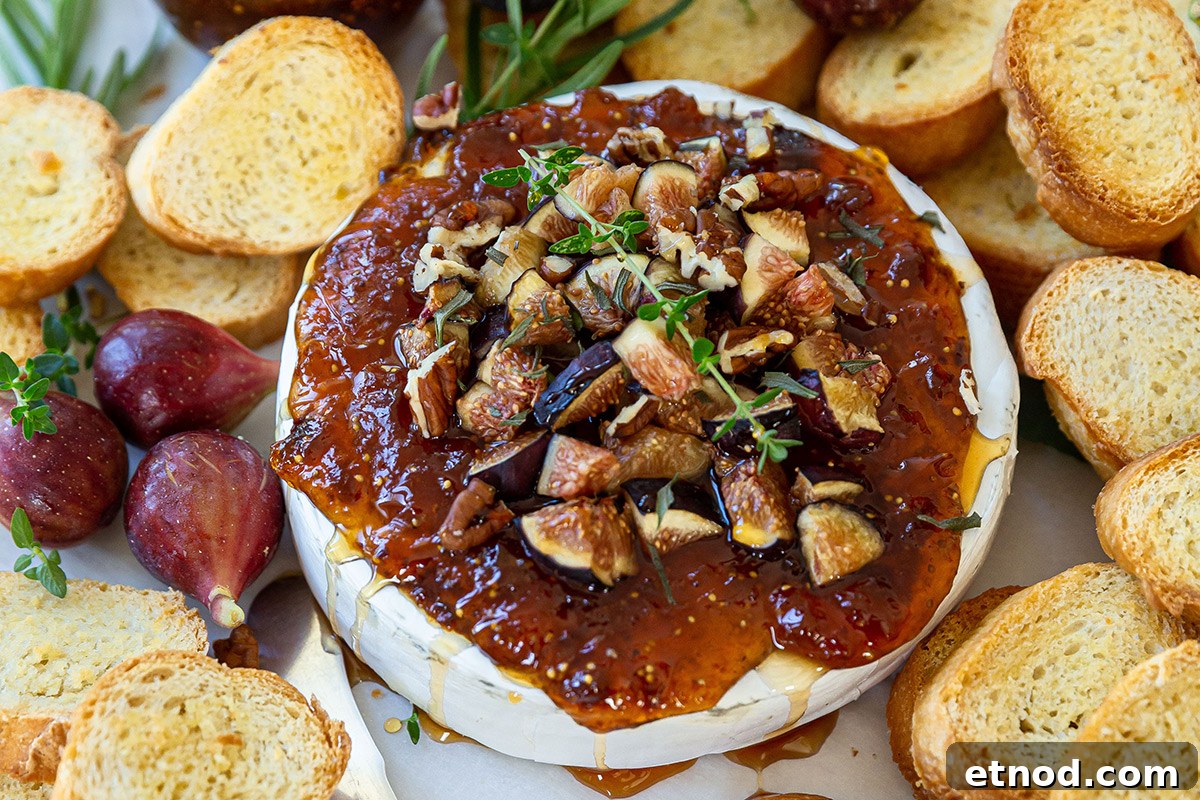 Baked Brie with Fig Jam and Honey for Entertaining 3 Brie topped with fig jam