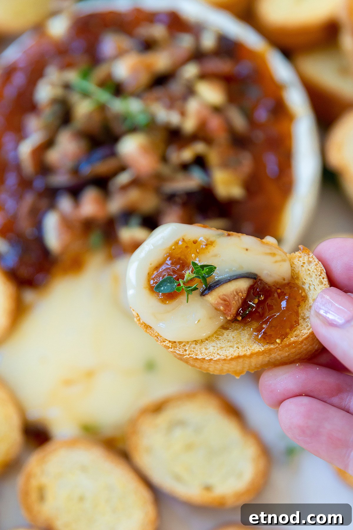 Baked Brie with Fig Jam and Honey for Entertaining 6 Baked brie close-up