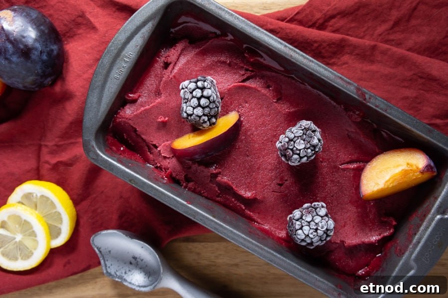 metal loaf pan full of plum blackberry sorbet topped with frozen berries and slices of plums