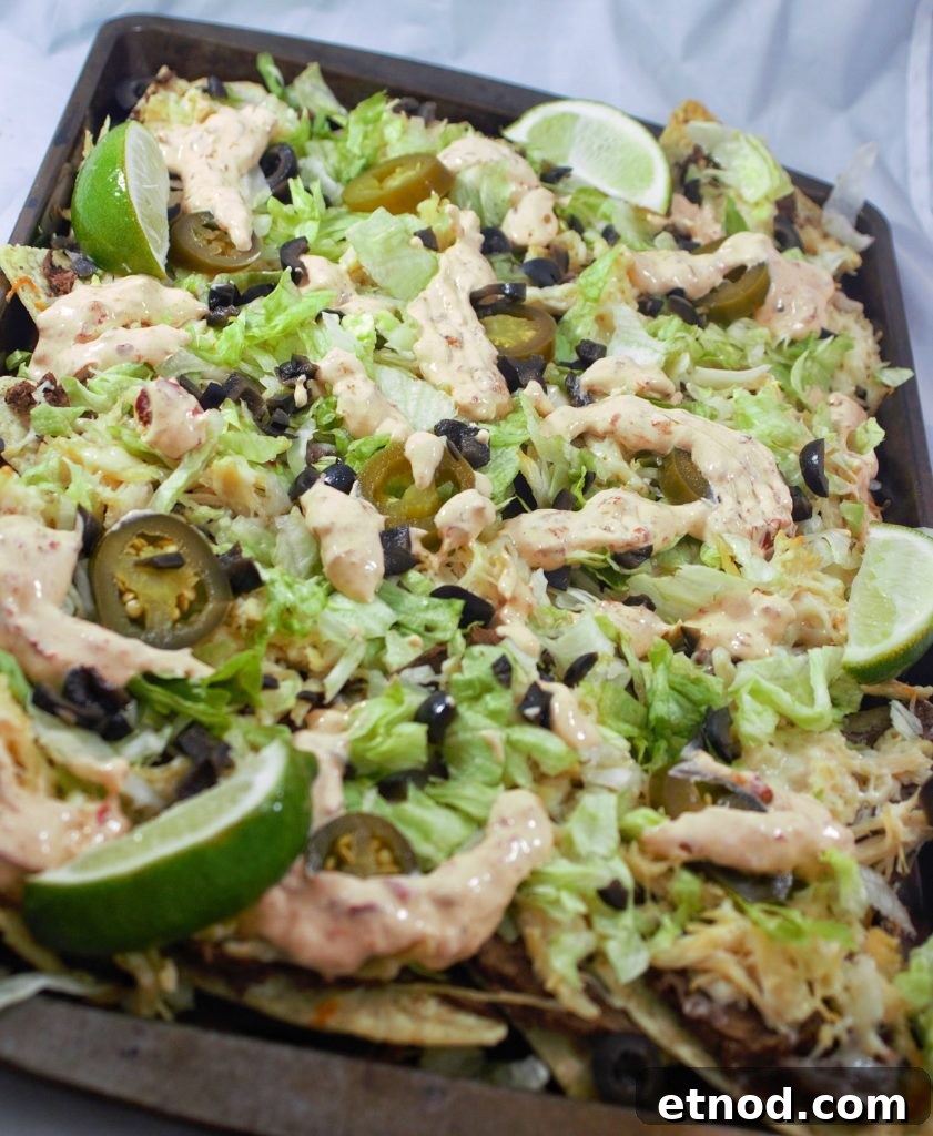 Chicken and Black Bean Nachos with Melted Cheese and Salsa 2 Black Bean and Chicken Nachos