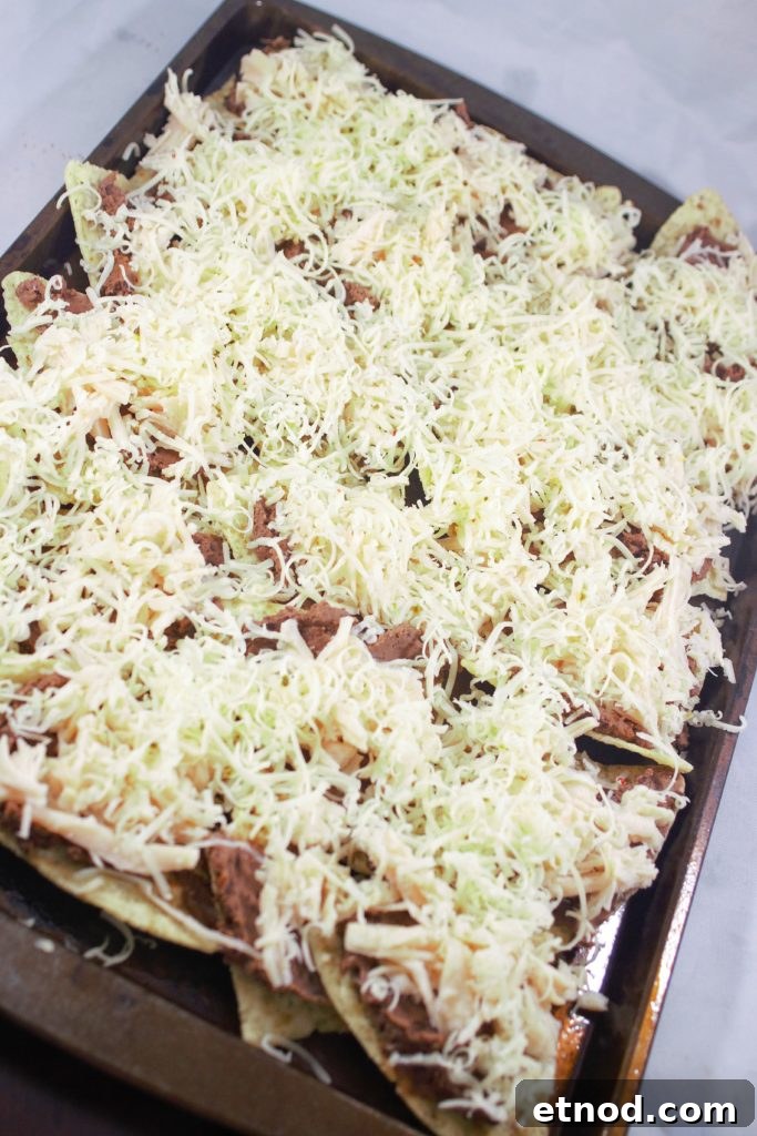 Chicken and Black Bean Nachos with Melted Cheese and Salsa 4 Black Bean and Chicken Nachos