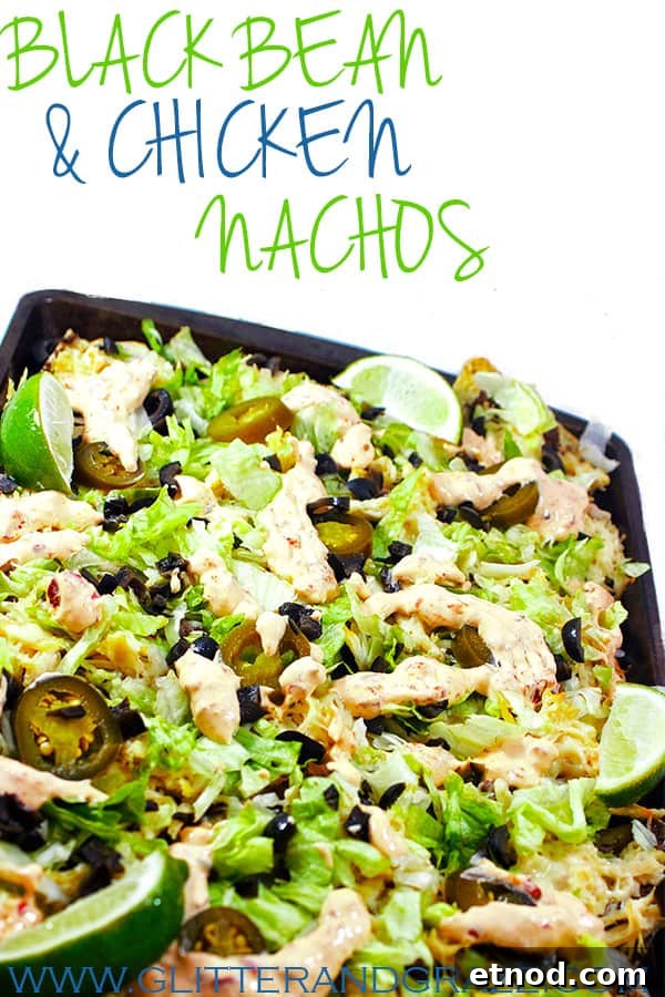 Chicken and Black Bean Nachos with Melted Cheese and Salsa 7 black bean and chicken nachos