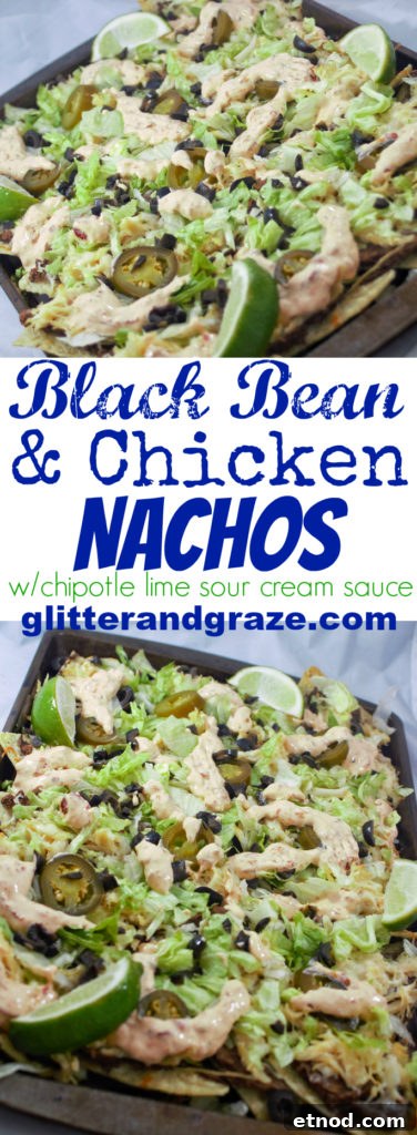 Chicken and Black Bean Nachos with Melted Cheese and Salsa 8 Black Bean and Chicken Nachos