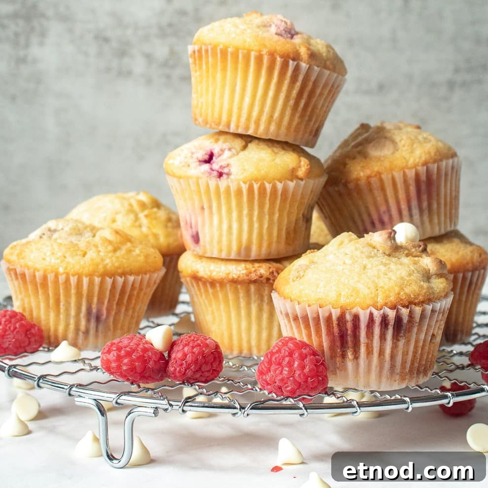 White Chocolate Raspberry Muffins with Fresh Berries 2 White Chocolate and Raspberry Muffins