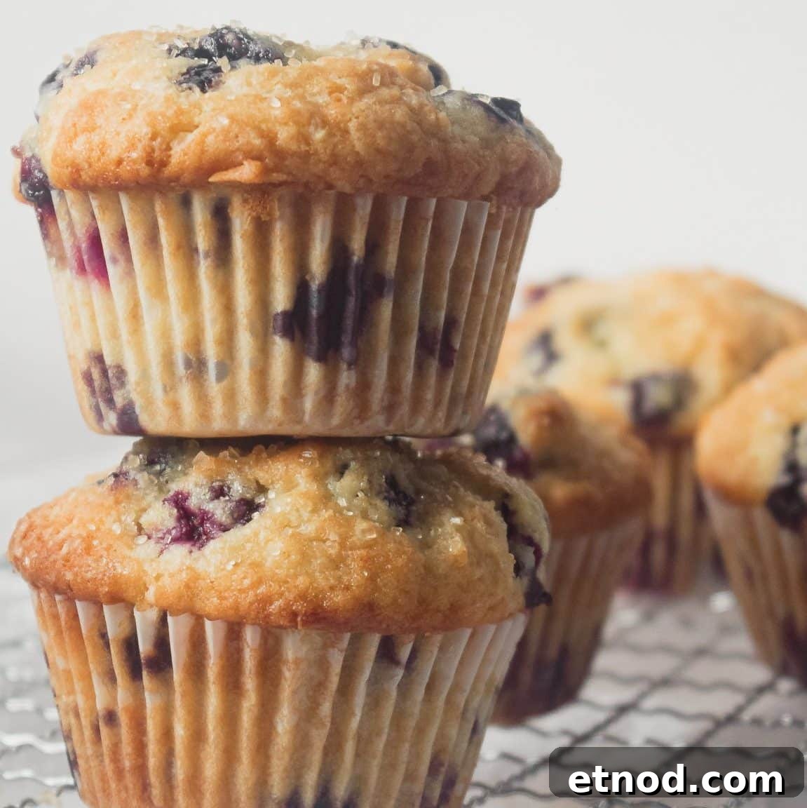 White Chocolate Raspberry Muffins with Fresh Berries 4 Buttermilk Blueberry Muffins with Lemon Zest